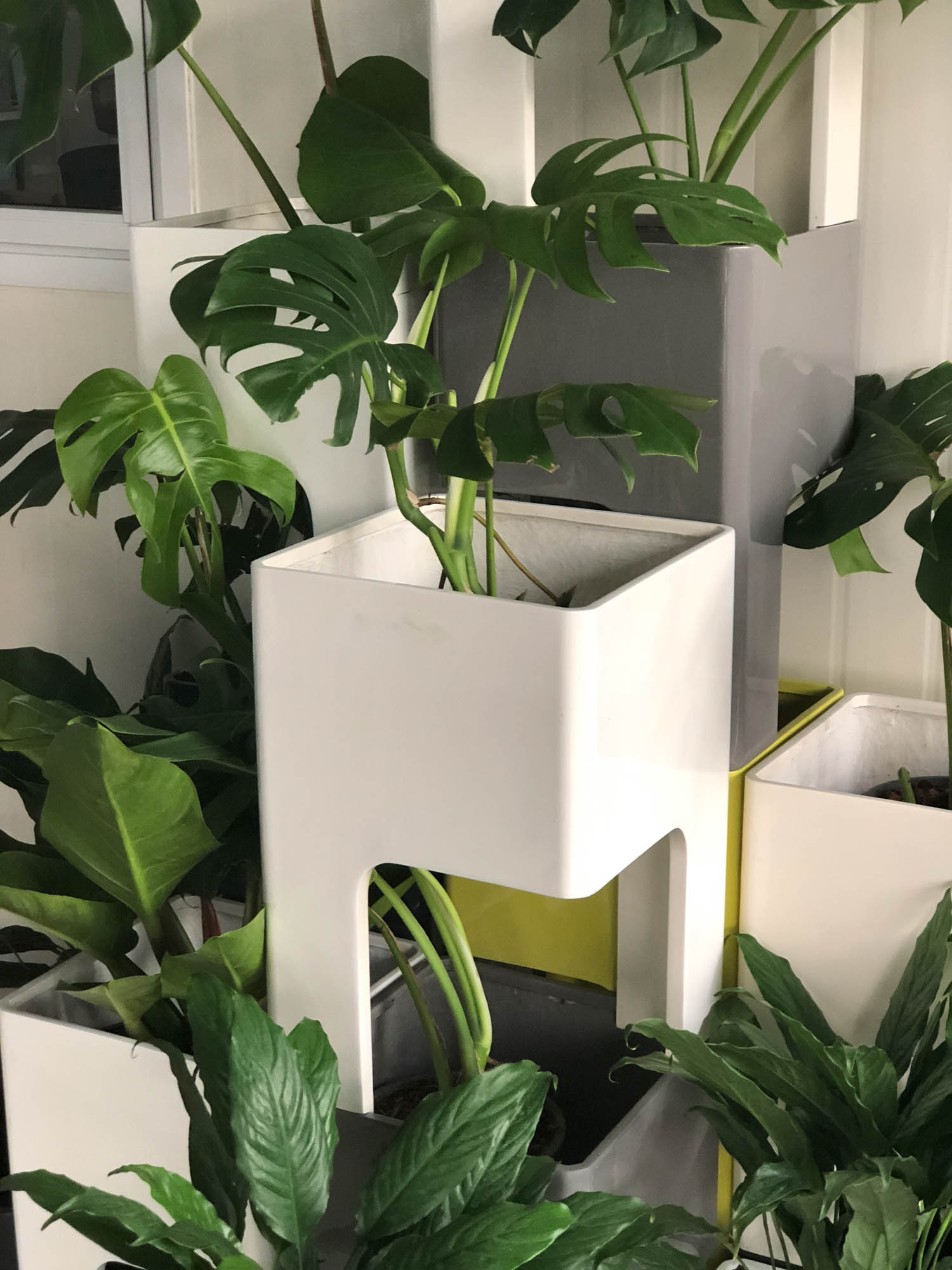Tree Square Studio แต่งบ้านให้ Unique ด้วยกระถางไฟเบอร์กลาส - Tree Square