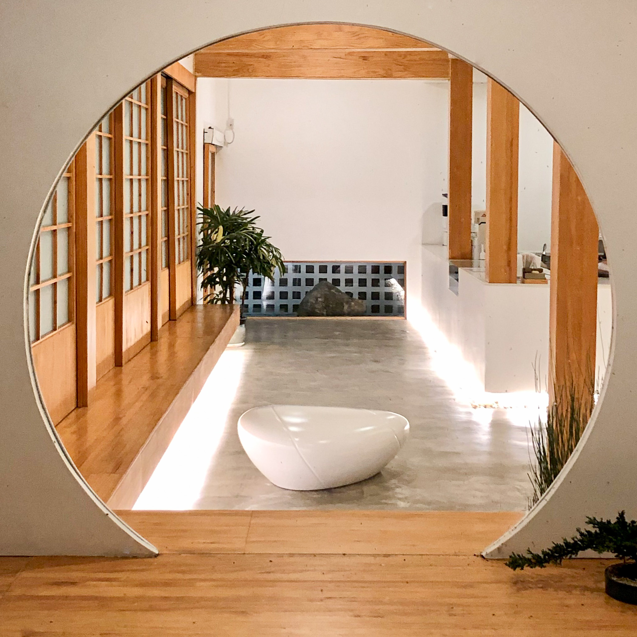 Tree Square Studio Kyojin Beans and Spirits - Tree Square